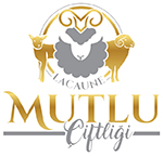 logo mutlu